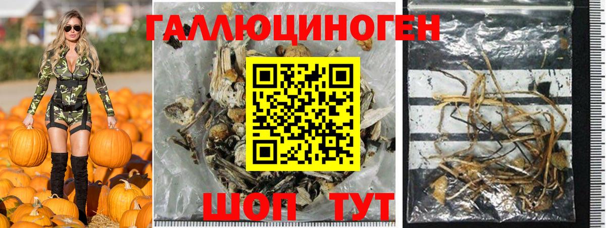 Псилоцибиновые грибы GOLDEN TEACHER  Вход с VPN  Заволжье 